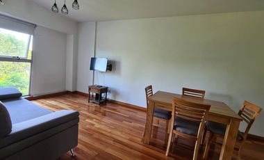 VENTA AMBIENTE CAÑITAS BALCON PILETA PARRILLA SUM