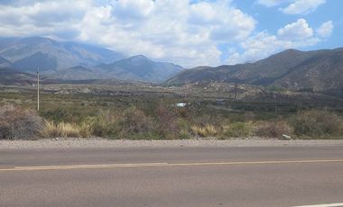 VENTA TERRENO 1 HA LOS CONDORES POTRERILLOS