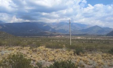 VENTA TERRENO 1 HA LOS CONDORES POTRERILLOS