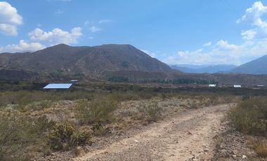 VENTA TERRENO 1 HA LOS CONDORES POTRERILLOS