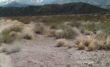 VENTA TERRENO 1 HA LOS CONDORES POTRERILLOS
