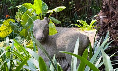 ESTRENA CASA EN VENTA CERCA SAN ANGEL CON JARDIN COL CAMPESTRE