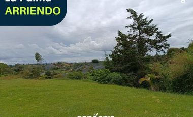 Finca en arriendo- El Carmen de Viboral- La Palma
