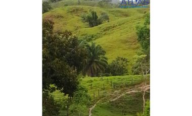 VENTA DE  FINCA EN LEBRIJA / SANTANDER   COD: 863