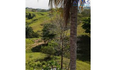 VENTA DE  FINCA EN LEBRIJA / SANTANDER   COD: 863