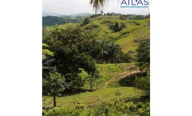 VENTA DE  FINCA EN LEBRIJA / SANTANDER   COD: 863