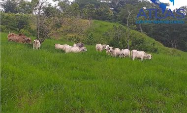 VENTA DE  FINCA EN LEBRIJA / SANTANDER   COD: 863