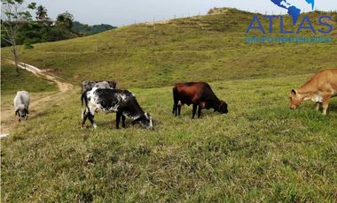 VENTA DE  FINCA EN LEBRIJA / SANTANDER   COD: 863