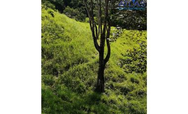 VENTA DE  FINCA EN LEBRIJA / SANTANDER   COD: 863