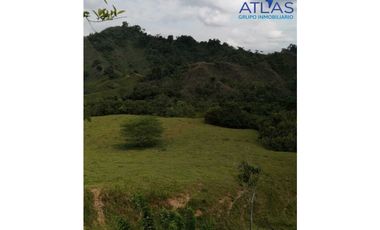 VENTA DE  FINCA EN LEBRIJA / SANTANDER   COD: 863