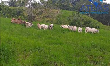 VENTA DE  FINCA EN LEBRIJA / SANTANDER   COD: 863