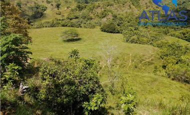 VENTA DE  FINCA EN LEBRIJA / SANTANDER   COD: 863