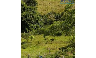 VENTA DE  FINCA EN LEBRIJA / SANTANDER   COD: 863