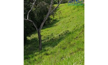 VENTA DE  FINCA EN LEBRIJA / SANTANDER   COD: 863