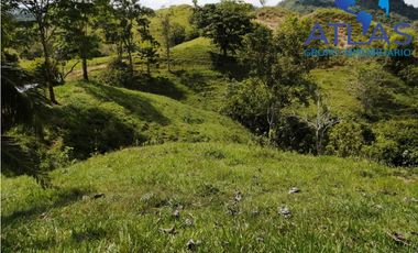 VENTA DE  FINCA EN LEBRIJA / SANTANDER   COD: 863