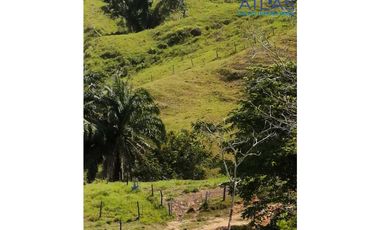 VENTA DE  FINCA EN LEBRIJA / SANTANDER   COD: 863