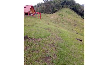 FINCA EN VENTA EN LA CEJA CON CASCADA