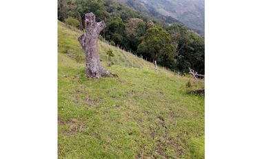 FINCA EN VENTA EN LA CEJA CON CASCADA