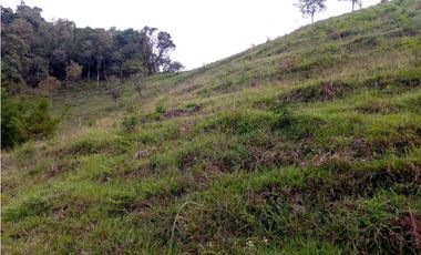 FINCA EN VENTA EN LA CEJA CON CASCADA