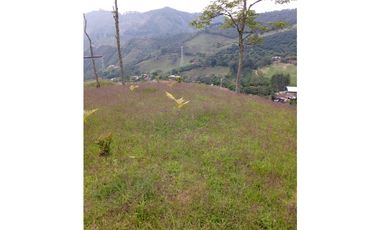 FINCA EN VENTA EN LA CEJA CON CASCADA