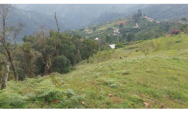 FINCA EN VENTA EN LA CEJA CON CASCADA