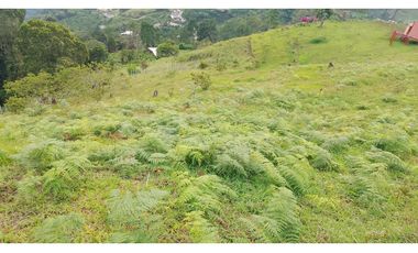 FINCA EN VENTA EN LA CEJA CON CASCADA