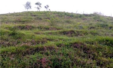 FINCA EN VENTA EN LA CEJA CON CASCADA