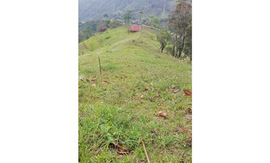 FINCA EN VENTA EN LA CEJA CON CASCADA