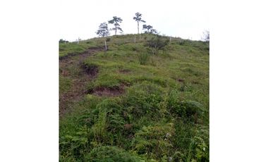 FINCA EN VENTA EN LA CEJA CON CASCADA