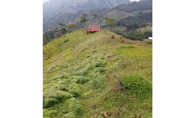 FINCA EN VENTA EN LA CEJA CON CASCADA