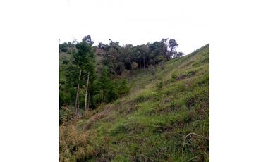 FINCA EN VENTA EN LA CEJA CON CASCADA