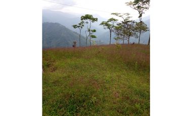 FINCA EN VENTA EN LA CEJA CON CASCADA