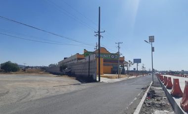 TERRENO EN RENTA PLANO EN CARRETERA PALMILLAS