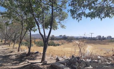 TERRENO EN RENTA PLANO EN CARRETERA PALMILLAS