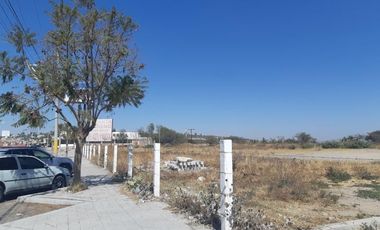 TERRENO EN RENTA PLANO EN CARRETERA PALMILLAS