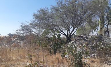 TERRENO EN RENTA PLANO EN CARRETERA PALMILLAS