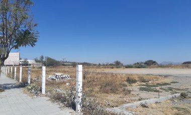 TERRENO EN RENTA PLANO EN CARRETERA PALMILLAS