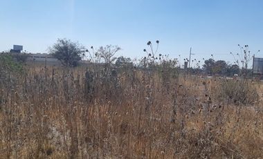 TERRENO EN RENTA PLANO EN CARRETERA PALMILLAS