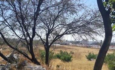 TERRENO EN RENTA PLANO EN CARRETERA PALMILLAS
