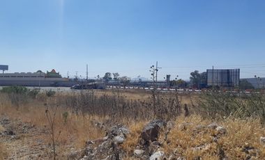 TERRENO EN RENTA PLANO EN CARRETERA PALMILLAS