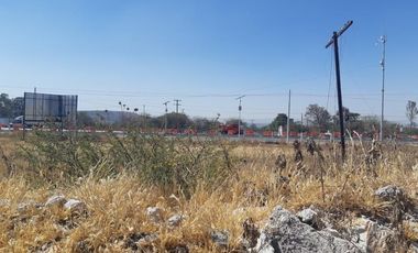 TERRENO EN RENTA PLANO EN CARRETERA PALMILLAS
