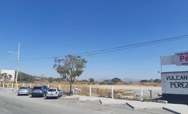 TERRENO EN RENTA PLANO EN CARRETERA PALMILLAS