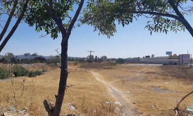 TERRENO EN RENTA PLANO EN CARRETERA PALMILLAS