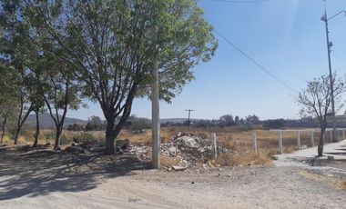 TERRENO EN RENTA PLANO EN CARRETERA PALMILLAS