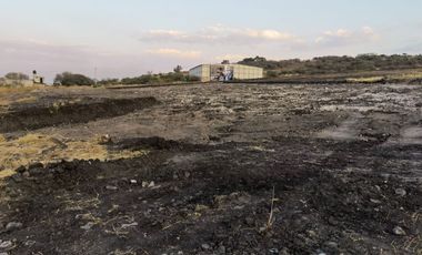 Terreno de 10,000 metros cuadrados en renta en Los Angeles, Corregidora.