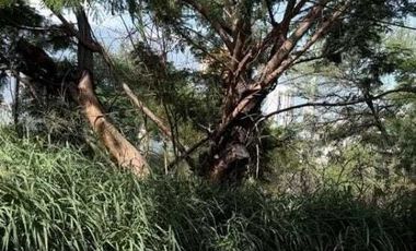 TERRENO MULTIFAMILIAR EN VENTA EN VALLE ORIENTE