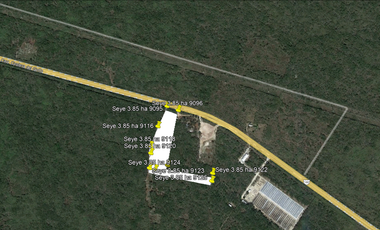 Venta de Terreno sobre carretera Mérida-Cancún 3.8 Hect