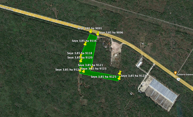 Venta de Terreno sobre carretera Mérida-Cancún 3.8 Hect