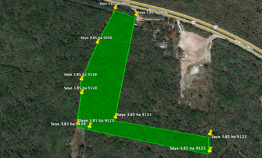 Venta de Terreno sobre carretera Mérida-Cancún 3.8 Hect