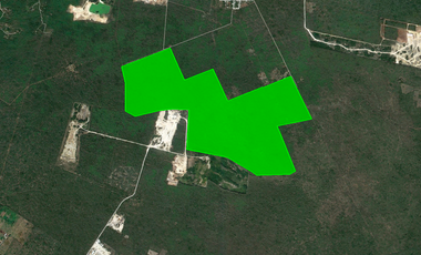 Excelente terreno para desarrolladores 200ha